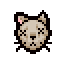 Tammy's Head