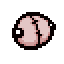 Lil Dumpy