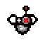 Bot Fly